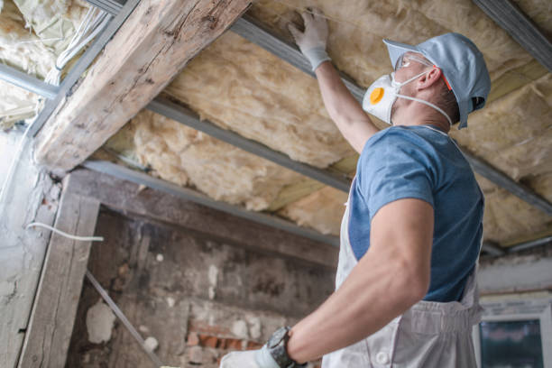 Best Insulation Repair Services  in Gberts, IL