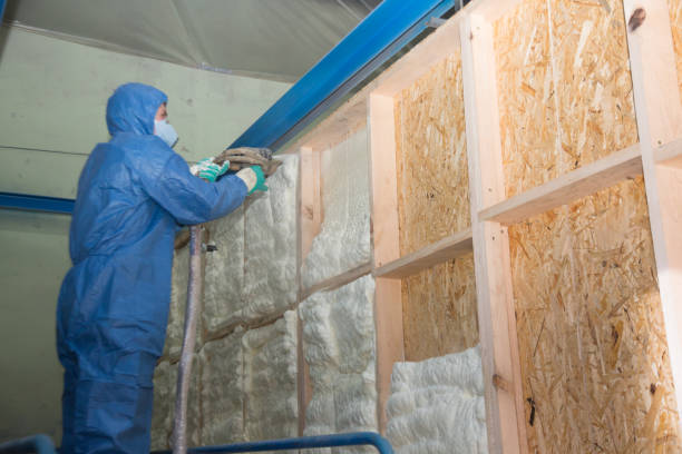 Best Insulation Contractors for Homes  in Gberts, IL